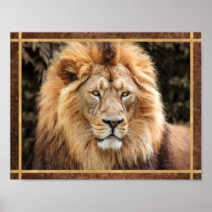 Affiche Photo de visage de lion magnifique