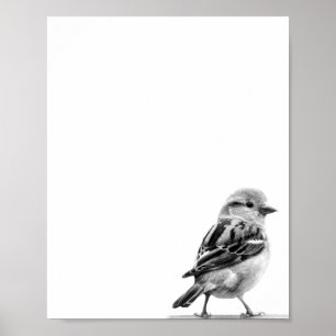 Affiche Photo d'oiseaux sauvages mignons en noir et blanc