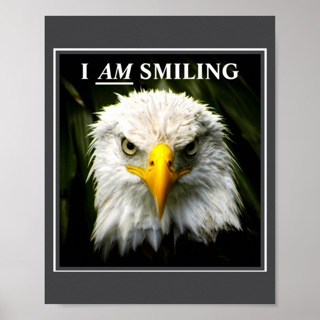 Affiche Photo drôle Je souris Aigle Mpy  (Devant)