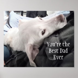 Affiche Photo du plus mignon chien Meilleur papa Ever
