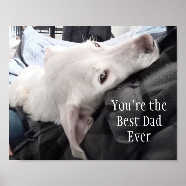 Affiche Photo du plus mignon chien Meilleur papa Ever (Devant)