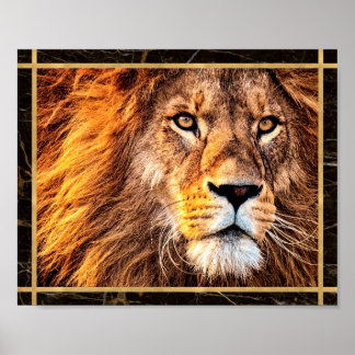 Affiche Photo du visage du lion Photo Imprimer l'affiche