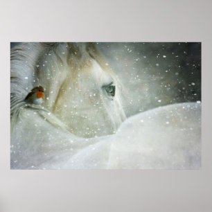 Affiche Photo d'un cheval blanc et d'un oiseau en hiver