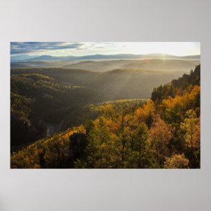 Affiche photo d'une forêt automnale montagneuse, montagnes