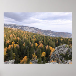 Affiche photo d'une forêt d'automne montagneuse, montagnes