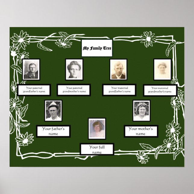 Affiche Photo Family Tree Daisy Art Bordure en vert (Devant)