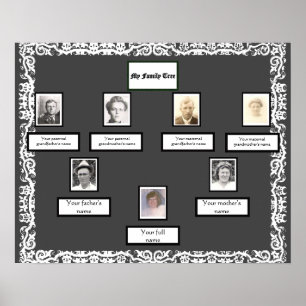 Affiche Photo Family Tree dentelle regarder la frontière s