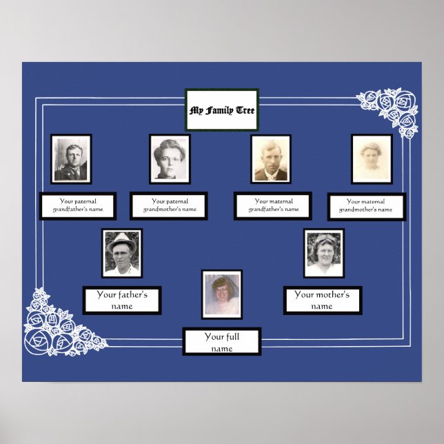 Affiche Photo Family Tree Rose Dessin bordure en bleu (Devant)