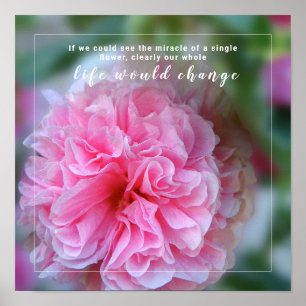 Affiche Photo Fleur Rose Hollyhock Avec Citation