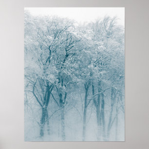 Affiche Photo hivernale des arbres couverts de neige
