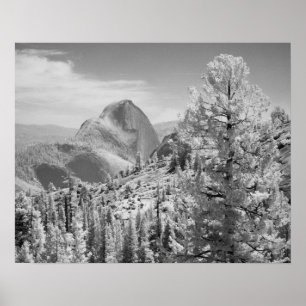 Affiche Photo infrarouge du côté est du parc national de Y