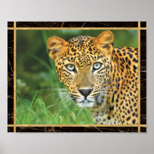 Affiche Photo Leopard Closeup Imprimer l'affiche