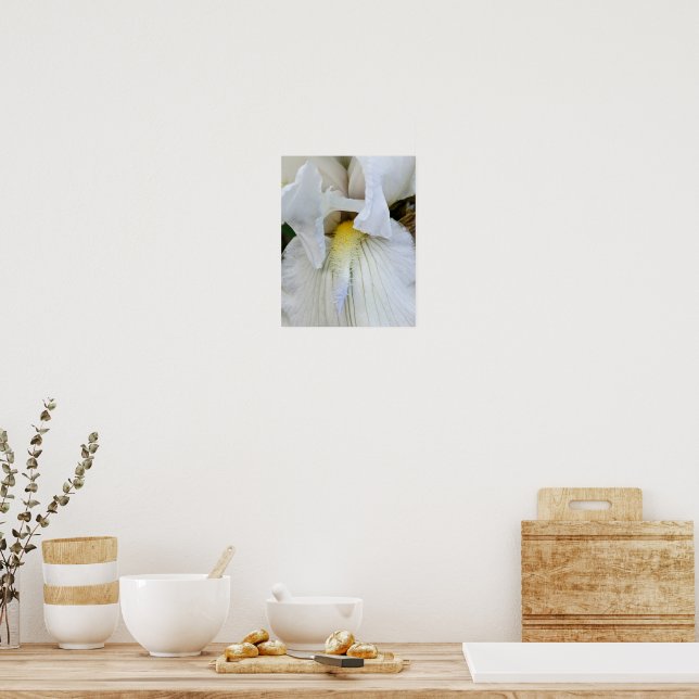 Affiche Photo macro d'une Iris à barbe blanche en fleurs (Cuisine)