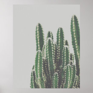 Affiche Photo minimaliste moderne de cactus vert
