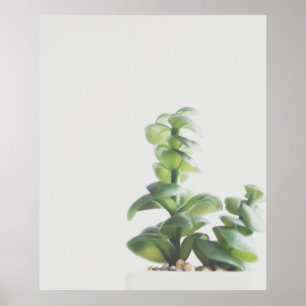 Affiche Photo minimaliste simple Plante vert