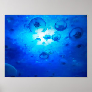 Affiche Photo Ocean Blue Jellyfish