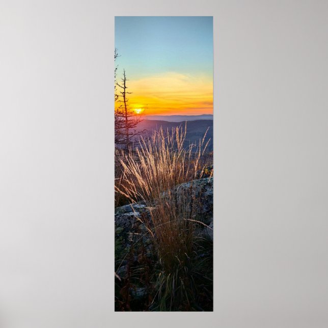 Affiche photo of a mountainous autumn forest, mountains, p (Devant)