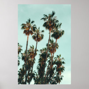 Affiche Photo of green palm trees