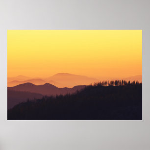 AFFICHE PHOTO PAYSAGE DE LA FORÊT PENDANT L'HEURE D'OR