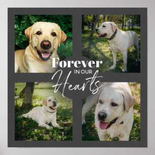 Affiche Photo personnalisée Collage Pet Memorial