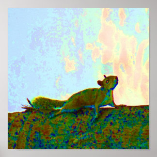 Affiche photo psychadélique d'écureuil