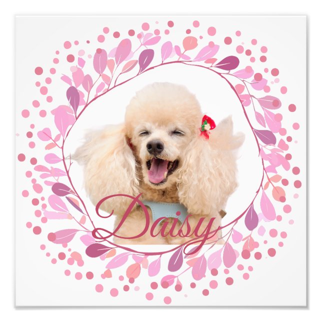 Affiche photo rose pastel personnalisée (Devant)