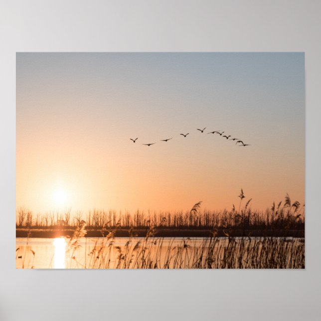 Affiche Photo Sunrise Nature (Devant)