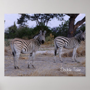 Affiche Photo Zebra Double Take