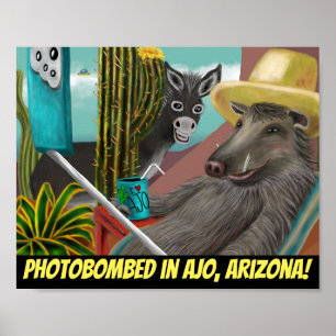Affiche Photobombed in Ajo Arizona, Arizona Carte postale