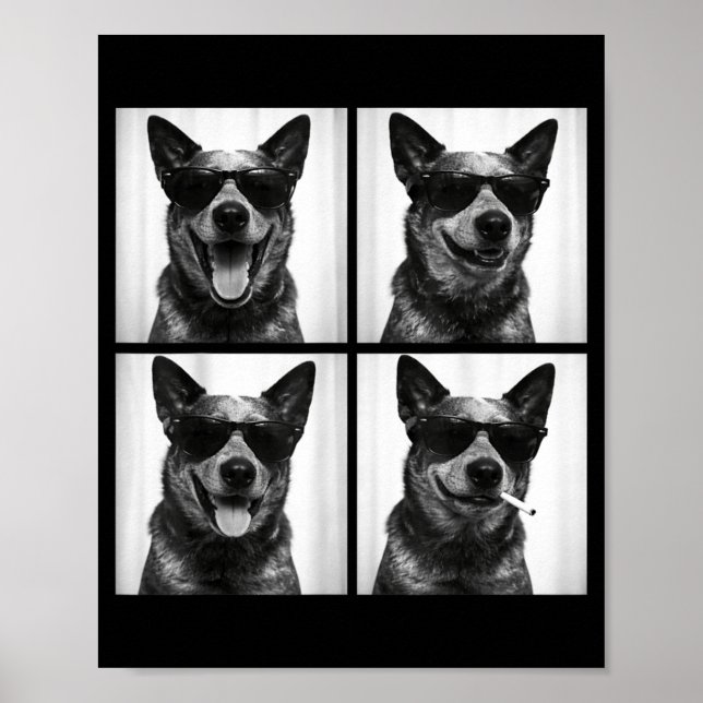 Affiche Photobooth Australian Cattle Dog Chien Drôle de se (Devant)