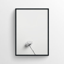 Photographie à fleurs minimaliste en monochrome