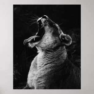 AFFICHE PHOTOGRAPHIE À GRANDE ÉCHELLE DE LA LIONTÉ JEUNE