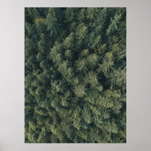 Affiche Photographie aérienne d'arbres verts