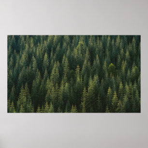 AFFICHE PHOTOGRAPHIE AÉRIENNE DE LA FORÊT
