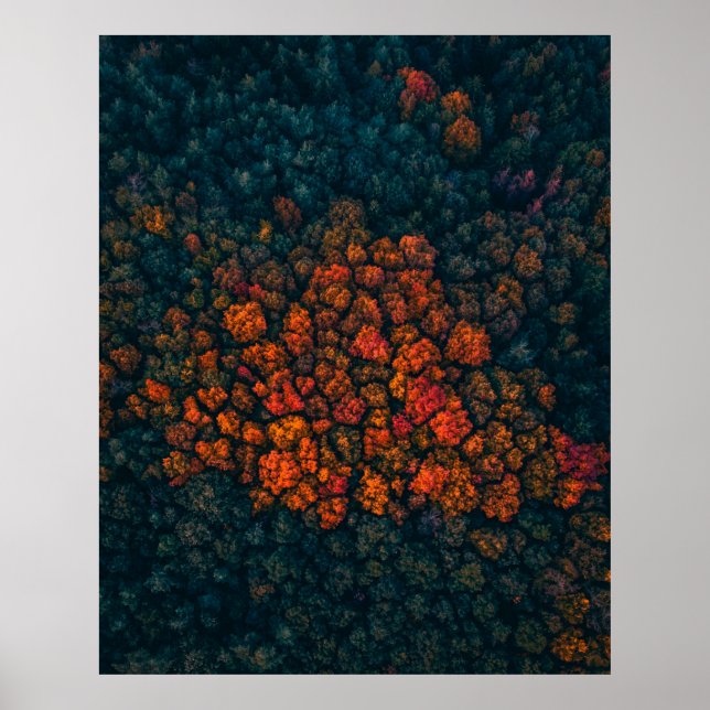 Affiche Photographie aérienne de la forêt (Devant)