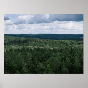 Affiche Photographie aérienne de paysage forestier nordiqu