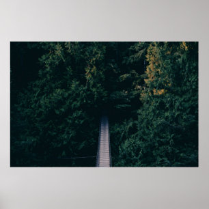 AFFICHE PHOTOGRAPHIE AÉRIENNE DU PONT DE HANGING PRÈS DES 
