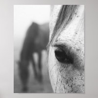 Photographie contemporaine de l'oeil de cheval
