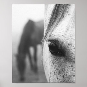 Affiche Photographie contemporaine de l'oeil de cheval