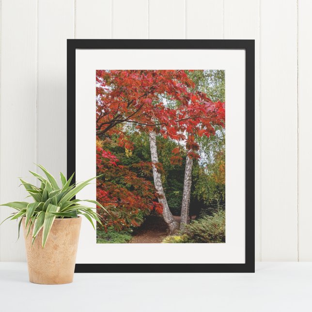 Affiche Photographie couleur feuille automne (In Situ Framed)
