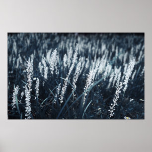 AFFICHE PHOTOGRAPHIE DE CLOSEUP DE PLANTE VERT