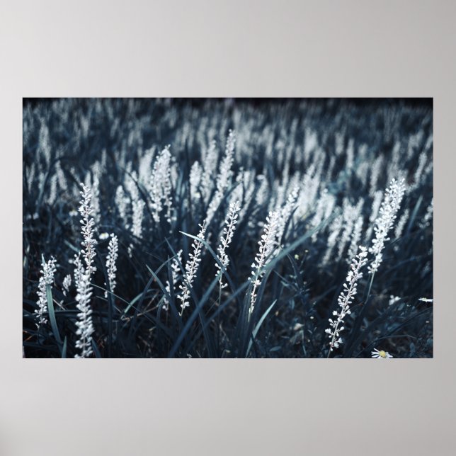 AFFICHE PHOTOGRAPHIE DE CLOSEUP DE PLANTE VERT (Devant)