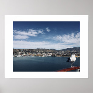 Affiche Photographie de couleur d'oiseau