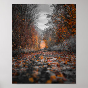 Affiche Photographie de Fall Trees