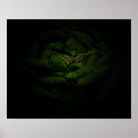Photographie de Fern Fine Art