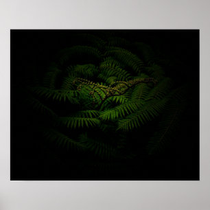 Affiche Photographie de Fern Fine Art