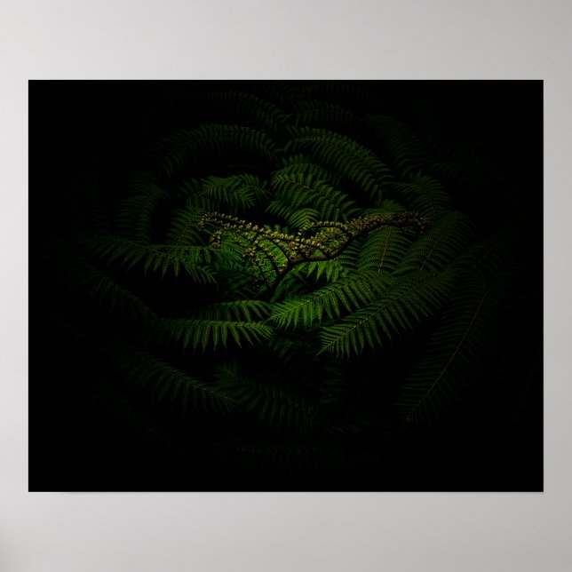 Affiche Photographie de Fern Fine Art (Devant)