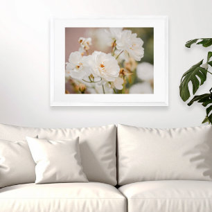Affiche Photographie de fleurs botaniques de roses blanche