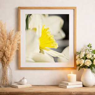 Affiche Photographie de fleurs de narcisse élégantes par M