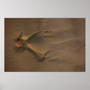 Affiche Photographie de focalisation sélective du sable